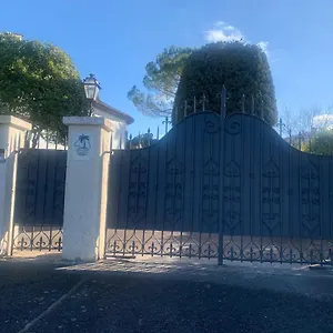 Carpe Diem Paradise Mougins